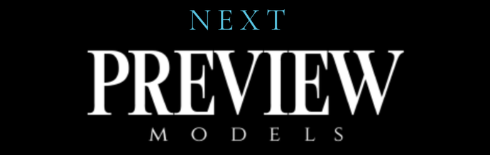 VIP Experience - (Installments)